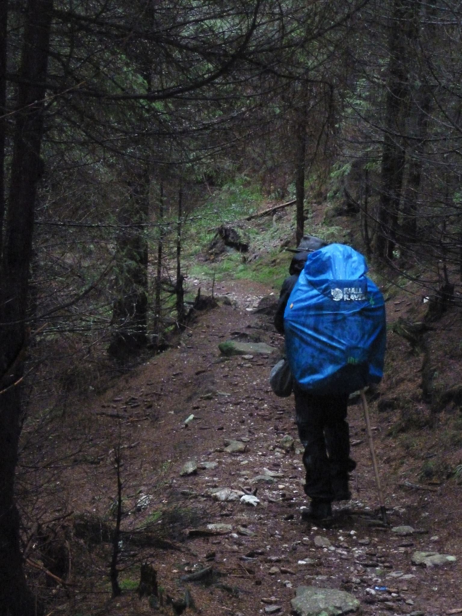 Une longue marche d'approche dans des forêts trempées et désertes avant d'arriver au massif des Fagaras
