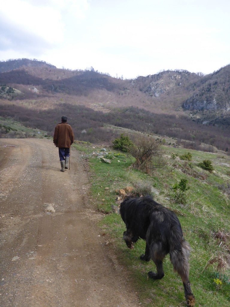 Un berger et son énorme chien me guident quelques kilomètres dans les montagnes